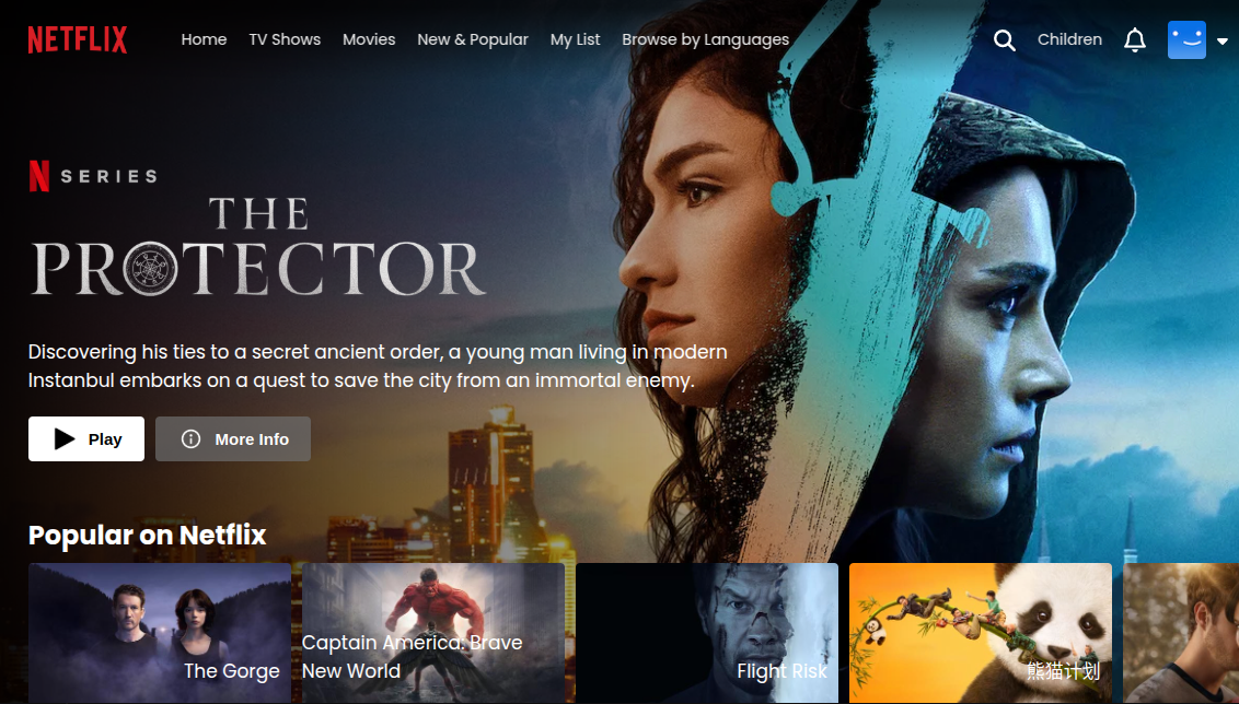 Netflix website preview image